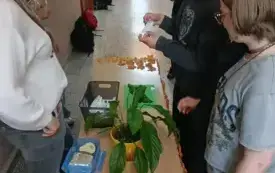 IMG20251002110155